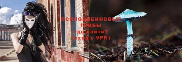МДПВ Алексин