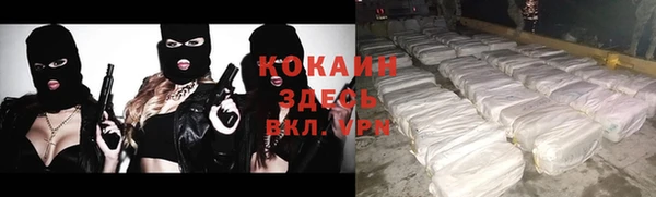 МДПВ Алексин