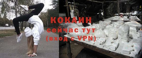 стафф Аркадак