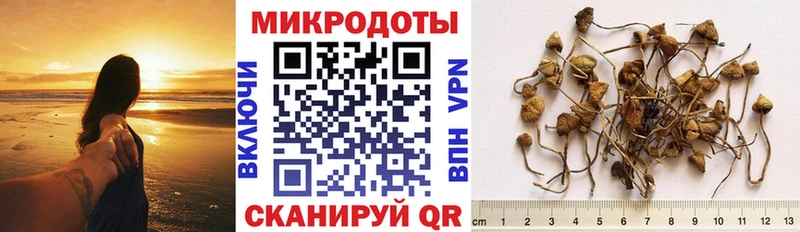 сколько стоит  Ликино-Дулёво  Псилоцибиновые грибы мицелий 